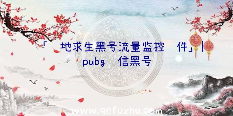 「绝地求生黑号流量监控软件」|pubg红信黑号